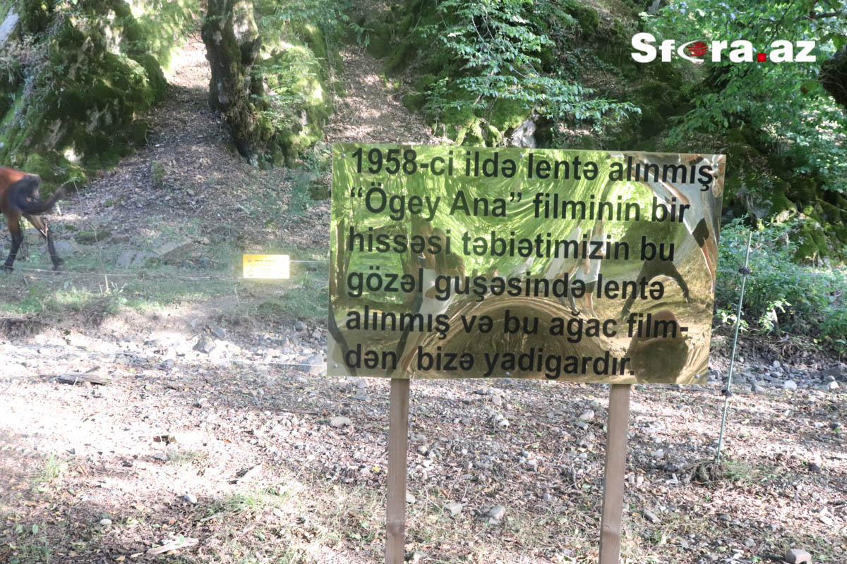 Azərbaycanın turizm cənnətində gördüklərimiz – İstirahət üçün niyə məhz İsmayıllını seçməliyik? - FOTOLAR