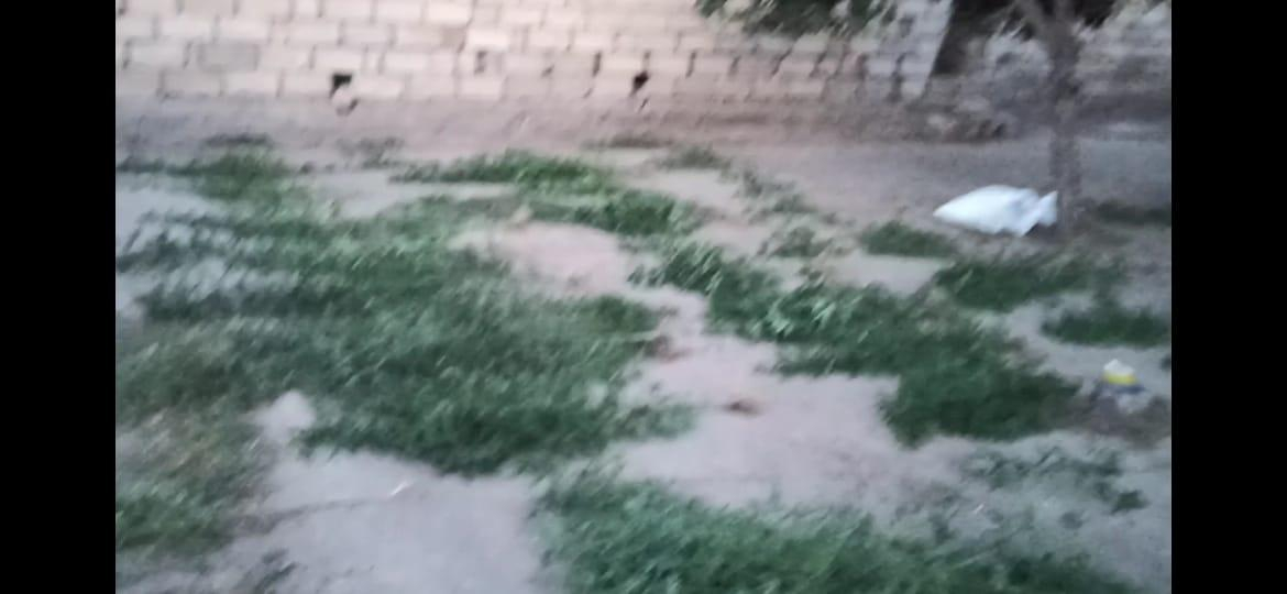 "Patı" satan daha bir şəxs tutuldu
