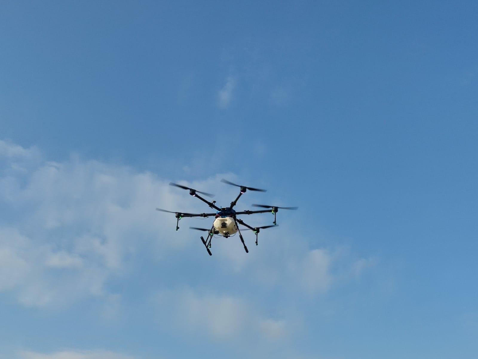 "Ölkədə son taxıl biçini həyata keçirildi, dronlar havaya qalxdı..." - Quba və Qusardan REPORTAJ