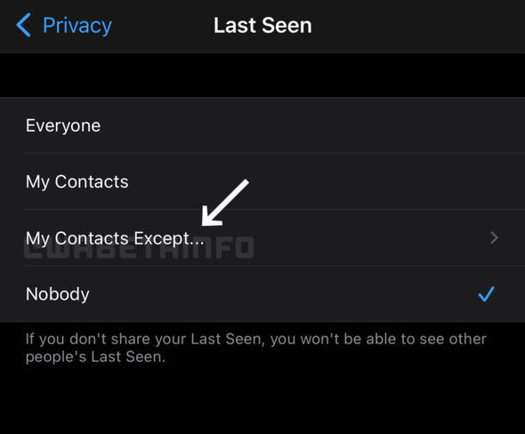 “WhatsApp”dan çoxdan gözlənilən funksiya - FOTO