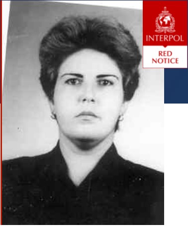 Bütün dünyanın axtardığı üç azərbaycanlı qadın - FOTOLAR