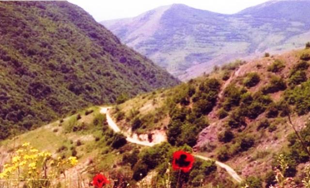 “Qarabağda təbiətin də bərpasına ehtiyac var” – Ekoloqdan açıqlama
