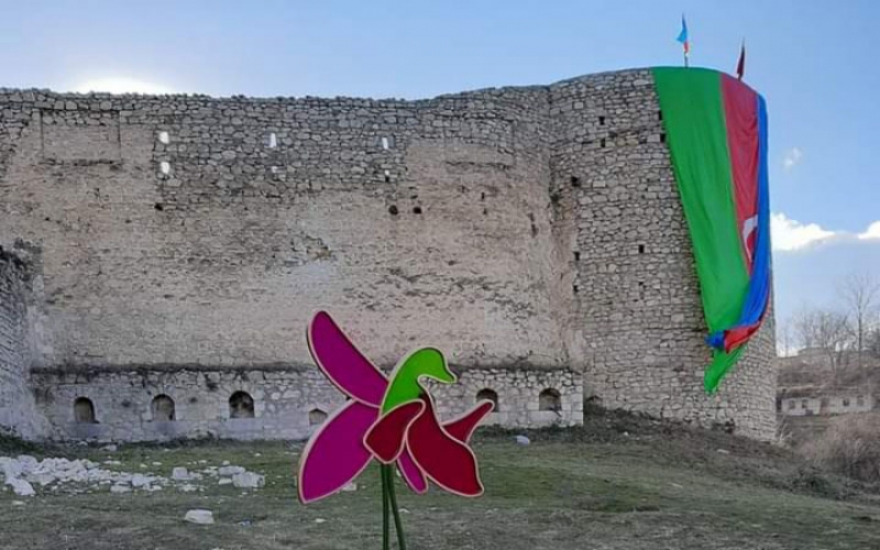 "Noyabrın 9-u səhər yaralandım, axşam eşitdim ki, müharibə qurtarıb..." - Qazilər o günü necə xatırlayır?