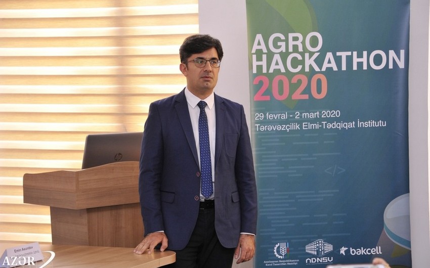 Tanınmış ekspert vəfat edib