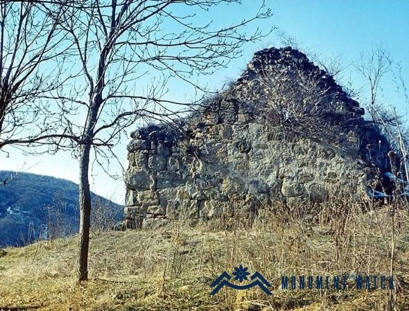 Bakıya “akademik cavab” sevdasına düşən erməni və fransız “alimlər” rəzil oldular - FOTO