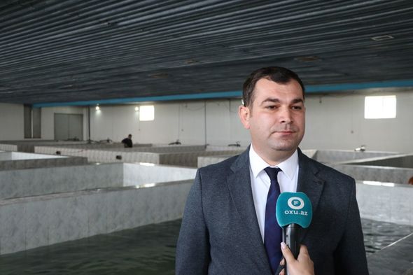 “Mənə balıq vermə, balıq artırmağı göstər” - REPORTAJ