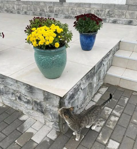 Prezidentin Ağalıdan maraqlı - FOTOSU