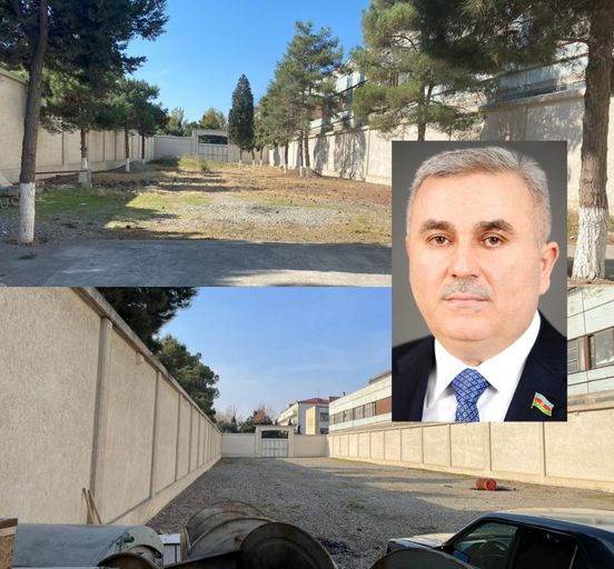 “Ştutqart” mağazalarının sahibi ağacları kəsərək anbar tikdirib? - FOTO