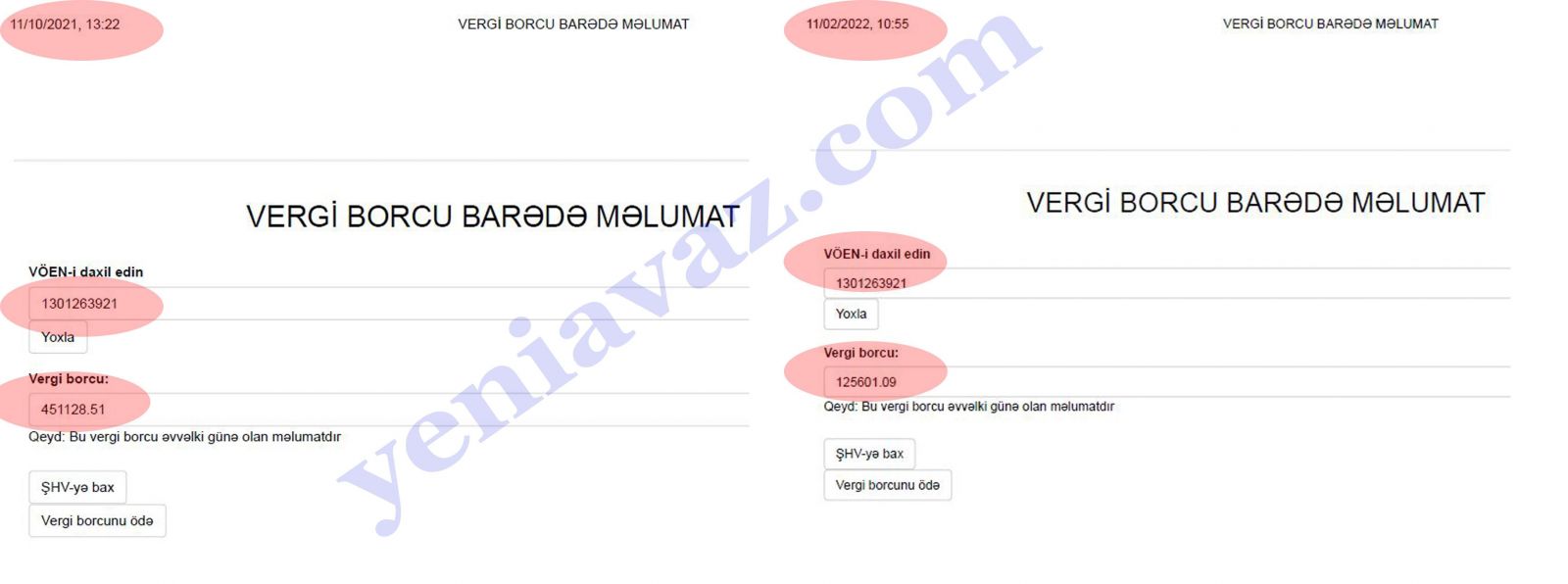 Ramiz Mehdiyevin həyat yoldaşı 3 ayda 326 min borc ödəyib - FOTO