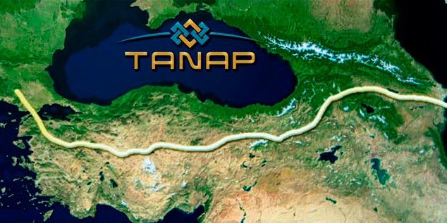İsrailin "Bəhrəli zeytun ağacı" istəyi - Azərbaycanla Türkiyənin bu prosesdən qazancı nə olacaq?