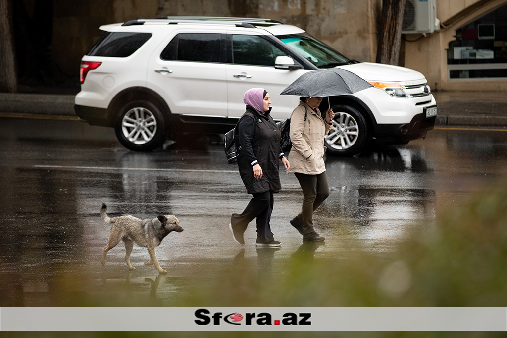 Yaz ayında payızı xatırladan yağışlı havadan - FOTOREPORTAJ
