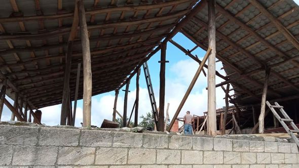 Güclü külək Qaxda tikililərin dam örtüyünü uçurdu, ağacları aşırdı - FOTOLAR