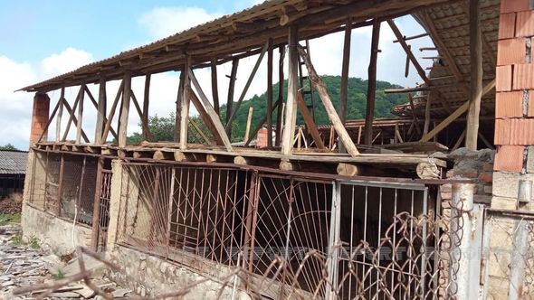Güclü külək Qaxda tikililərin dam örtüyünü uçurdu, ağacları aşırdı - FOTOLAR