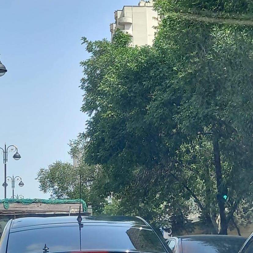 Bakıda sürücüləri çaş-baş salan "ağac işıqfor" - FOTO