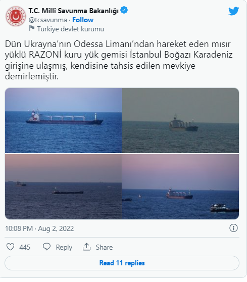 Ukrayna taxılını daşıyan ilk yük gəmisi İstanbula çatdı