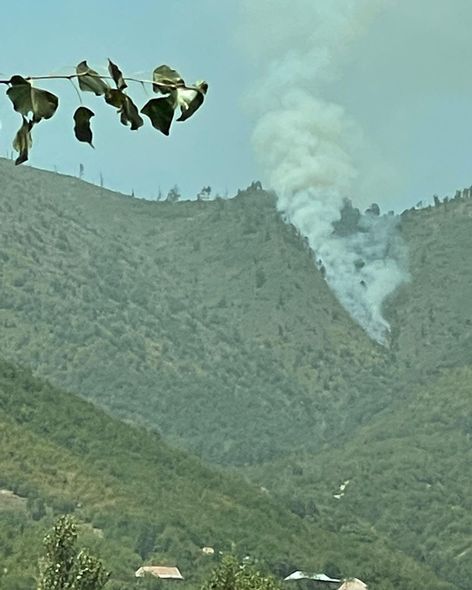 Şəkidə meşə yanğınının söndürülməsinə helikopterlər cəlb olundu - YENİLƏNİB