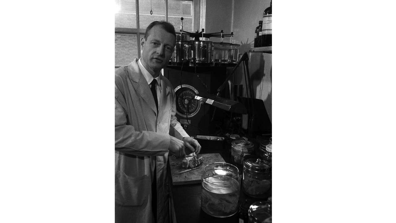 Albert Eynşteynin beynini kim və necə oğurlayıb? – Pivə soyuducusunda gizlədilən SİRR