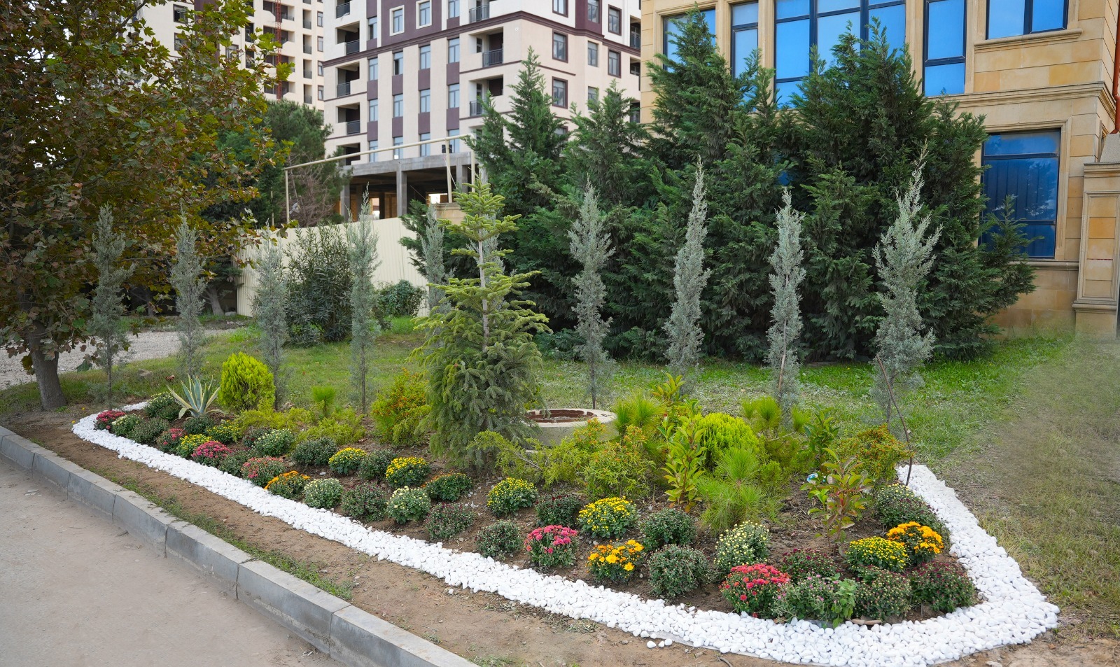 Abşeron rayonunda genişmiqyaslı abadlıq-quruculuq işləri davam etdirilir — foto 8