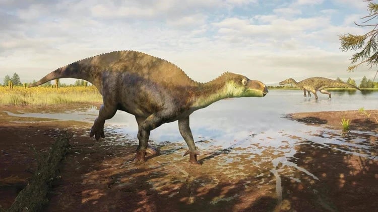 İngiltərədə yeni dinozavr növü kəşf edildi